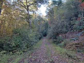 Lot E3 Foxfire Estates, Robbinsville (Graham), NC 28771