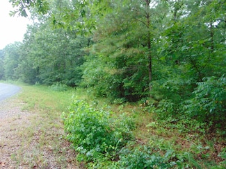 Lot 9 Rivera Dr, Cherokee, AL 35616