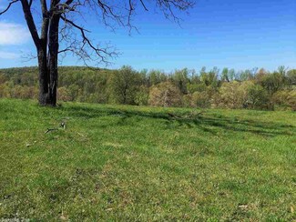 0 Marsena Rd Unit 17036875, Marshall, AR 72650
