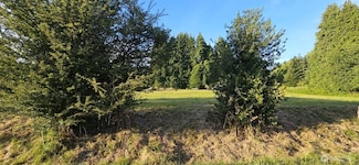 3632 Pennsylvania St, Longview, WA 98632