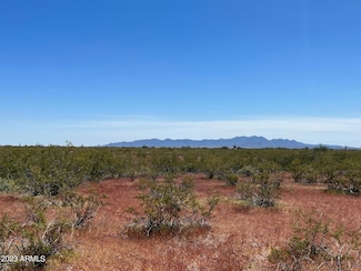 32039 N 307th Ave Unit 193, Wittmann, AZ 85361