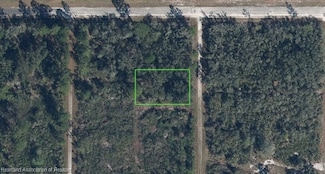 1260 Mango St, Lake Placid, FL 33852