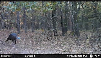 86.7B Red Rd, Fort Towson, OK 74735