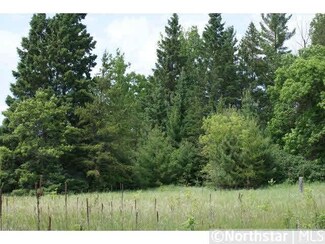 0 SW Unassigned Address St SW Unit 4283097, Pine River, MN 56435