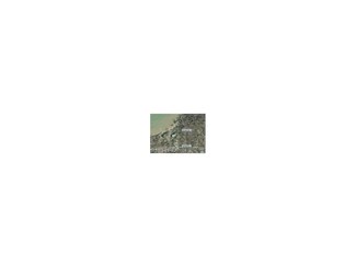 5 A Tuhan Rd, Put-In-bay Township, OH 43436