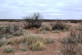 0 Lot 28 Block 4 Sundance Ranch, Deming, NM 88030