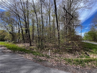 2154 Flame Lake Dr, Roaming Shores, OH 44084