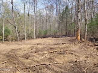 1386 Old Deer Lodge Pike, Deer Lodge, TN 37726