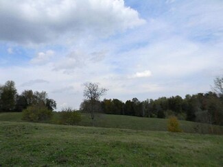 211 Witcher Hollow Rd, Red Boiling Springs, TN 37150