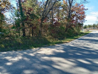 00 Springtime, Webber Township, MI 49304