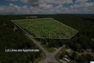 0 County Road 52 Unit 1359096, Helena, AL 35080