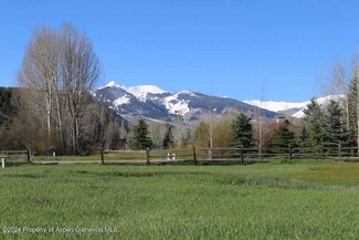 380 Little Elk Creek Ave, Snowmass, CO 81654
