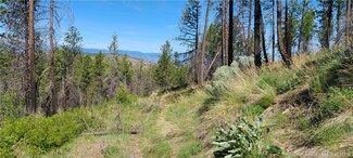 0 Evan's Ranch Rd Unit 1785744, Riverside, WA 98849