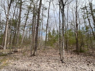 0 Chippewa Beach Rd Unit 201833492, Indian River, MI 49749