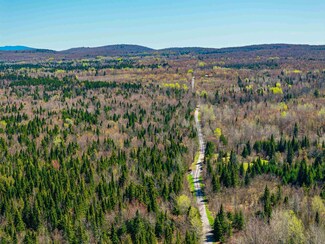 166 Panther Ln, Ellenburg, NY 12933
