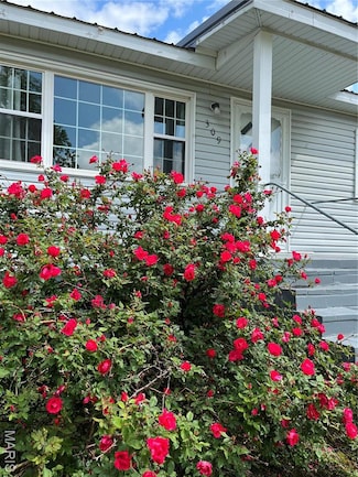 309 Central Ave, Marble Hill, MO 63764