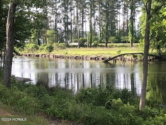 258 Bridgewater Dr S, Bath, NC 27808