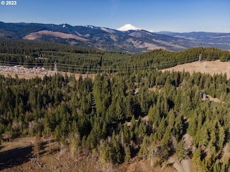 1311 Lacock-Kelchner Rd, Underwood, WA 98651