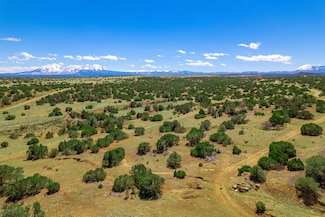 0 Rio Colorado Place, Walsenburg, CO 81089