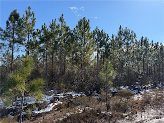 0 (Lot 12) Elmer Thrift Rd, Waycross, GA 31503