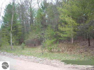 0 Pinnacle Drive 78, Omer, MI 48759
