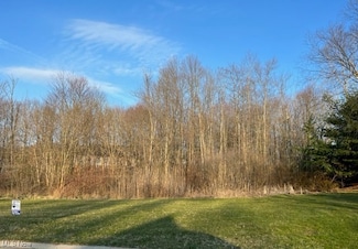 0 Birchmont Ave SW Unit 4354951, Canton Township, OH 44706