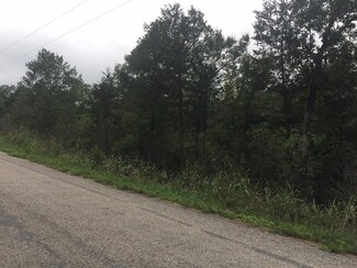 Tbd Cane Creek Rd, Kissee Mills, MO 65680