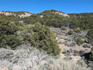 Lot 2131 Trujillo Rd, Fort Garland, CO 81133