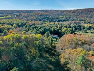 7810 County Road 15, Angelica, NY 14709