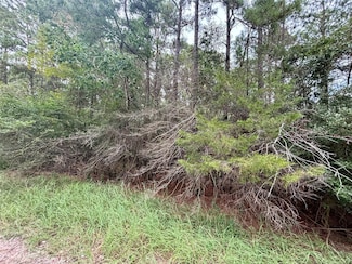 TBD Parkview, Onalaska, TX 77360