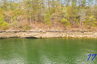 LOT 17 Ryan's View, Crane Hill, AL 35053