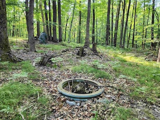 5296 Fawn Terrace, Farwell, MI 48622