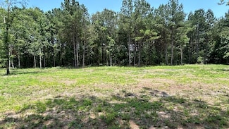 0 Pleasant Dr Unit 26965436, Coldspring, TX 77331