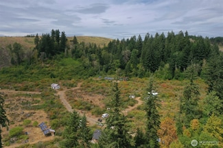 81425 VL Undisclosed, Tenino, WA 98589