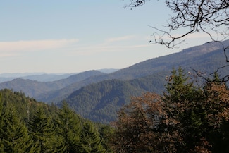 600 Lucy Gulch Rd, Hyampom, CA 96046