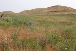 0 Allert Rd NE Unit NWM2396884, Washtucna, WA 99371