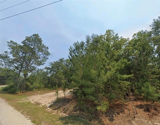 0 Malauka Unit MFRO6364903, Ocklawaha, FL 32179