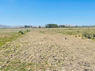 lot3 plat 2411 Oregon 201, Nyssa, OR 97913