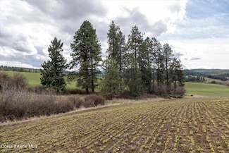 Lot 2 Clifford Rd, Princeton, ID 83857