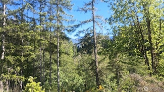 735 Carr Rd, Randle, WA 98377
