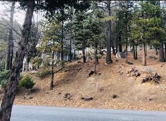27315 Pinewood Dr, Lake Arrowhead, CA 92352