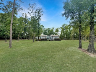 259 Faceville Landing Rd, Bainbridge, GA 39819