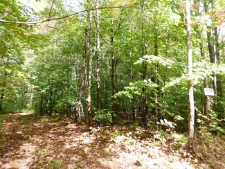 0 Prospect Place Unit J-1 & K 310714, Frederic, MI 49733