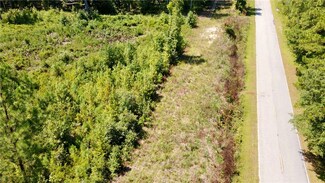 00 Sam Jones Rd, Patrick, SC 29584