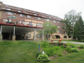 220 Black Bear Rd Unit 220, Waterville Valley, NH 03215