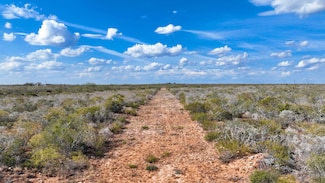 2650 Co Rd 345, San Diego, TX 78384