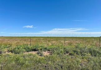 0 Fm 1062 - 80 Acres Unit 25-4462, Canyon, TX 79015