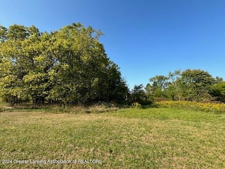 Vl W Vermontville Hwy, Vermontville, MI 49096