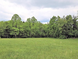TBD Franklin Pike SE, Floyd, VA 24091