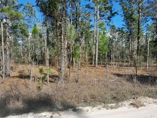 TBD NE 150th Ave, Williston, FL 32696